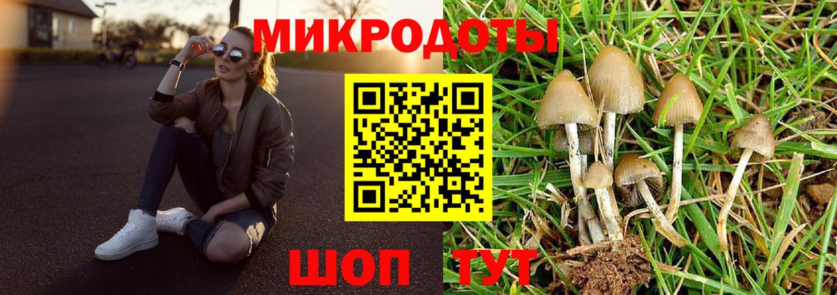 Лиски  Псилоцибиновые грибы мицелий  Вход с VPN  Галлюциногенные грибы мицелий 